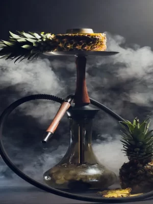 نارگیلە طبيعي انەناس